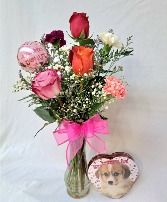 Kiddie Bundle 