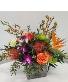 KIMD2502 Tropical Breeze Mom Cube Arrangement