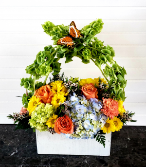 Kim's Bells of Ireland Exclusively at Mom & Pops in Oxnard, CA | Mom and Pop Flower Shop Kim's Bells of Ireland Exclusively at Mom & Pops in Oxnard, CA | Mom and Pop Flower Shop