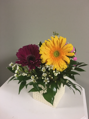 Kindness Bouquet Everyday in Toccoa, GA | TARA'S "HAPPIES" FOR YOU FLORAL & GIFT SHOP Kindness Bouquet Everyday in Toccoa, GA | TARA'S "HAPPIES" FOR YOU FLORAL & GIFT SHOP