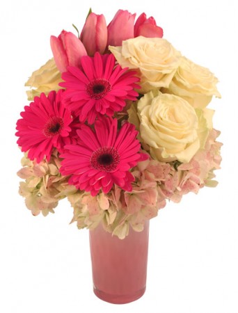 Kindness Bouquet in Winnipeg, MB | EDELWEISS FLORIST