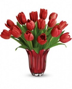 Kissed by Tulips T13V300B