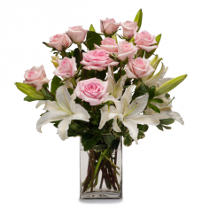 Category Image