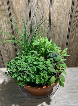 Buy One, Give One Kitchen Herb Garden