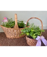 Kitchen Herb Garden 