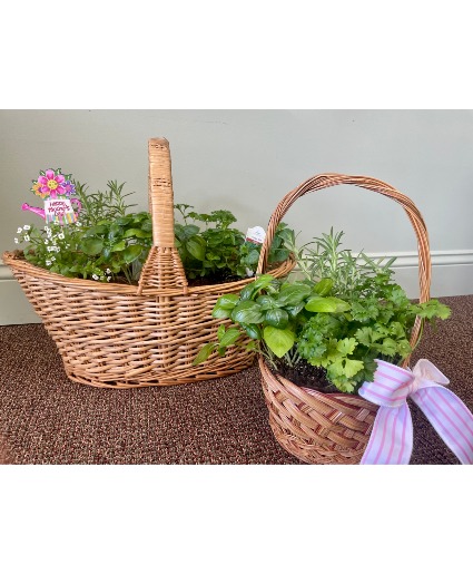 Kitchen Herb Garden