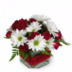 "RED  AND WHITE" FLOWERS ARRANGED IN A VASE  CUTE RIBBON DETAIL!!