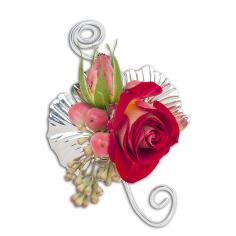 Category Image