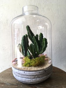 Knoll Terrarium in Toronto, ON | BOTANY FLORAL STUDIO Knoll Terrarium in Toronto, ON | BOTANY FLORAL STUDIO