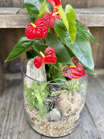 KONA KAI