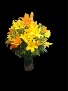 LA Lilies 