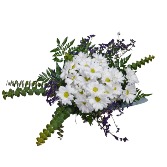 La Marguerite Flowers