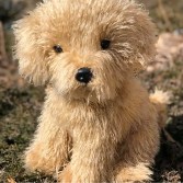 Labradoodle Realistic Plushie Gift