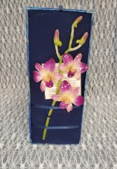 Lacquered 3 Blossom Orchid 