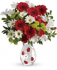 Lady Bug Available for local delivery only in Bristol, CT | DONNA'S FLORIST & GIFTS