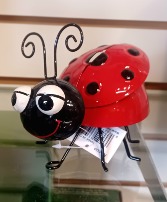 Ladybug gift