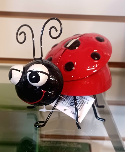 Ladybug gift