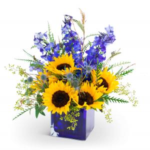 Land Meets Sky Arrangement in Barre, VT | Forget Me Not Flowers and Gifts LLC Land Meets Sky Arrangement in Barre, VT | Forget Me Not Flowers and Gifts LLC