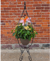Lantana Hanging Basket with Decorative Stand Plant 