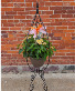 Lantana Hanging Basket with Decorative Stand Plant 