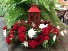 Lantern centerpiece  