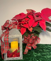 Lantern with Red Berries & Pointsettia Christmas Arrangement