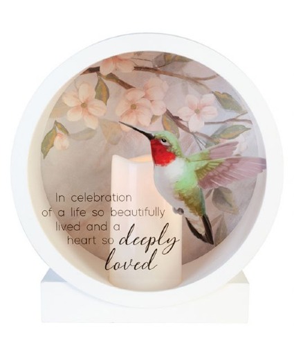 Lantern Shadow Box with Hummingbird 