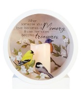 Lantern Shadow Box with Finches 