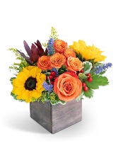 Larchmont Canyon Flower Arrangement