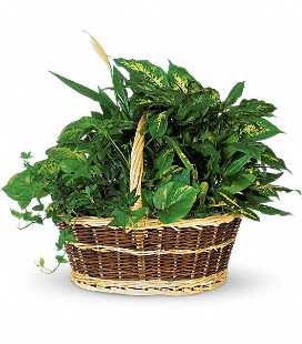 Large Basket Garden Garden
