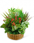 Purchase this funeral home arrangement