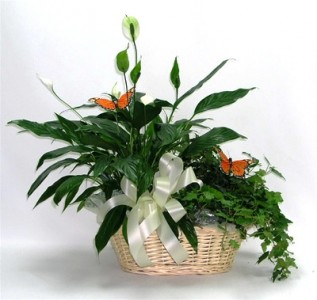 Large Blooming Garden Basket 