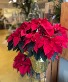 Large Christmas Poinsettia 