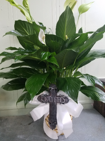 Large Cross of Faith Plant Green Plant