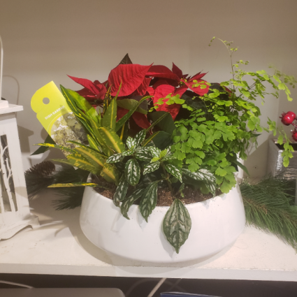 Large Custom Ceramic Christmas Planter Plants