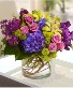 Large Cymbidium Orchid 