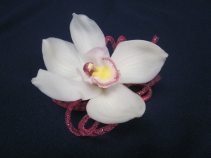 Large Cymbidium Orchid, Tube Ribbon, $30  