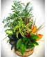 Purchase this funeral home arrangement