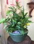 Purchase this funeral home arrangement