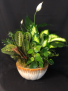 Purchase this funeral home arrangement
