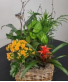 Large European Garden Green and Blooming Plants