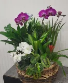 Purchase this funeral home arrangement