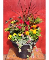Large Fall Annuals Patio Planter