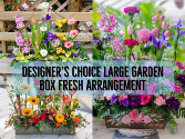Large Garden Box  Designer's Choice Fresh Arrangement 