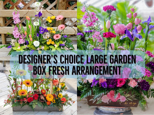 Large Garden Box  Designer's Choice Fresh Arrangement 