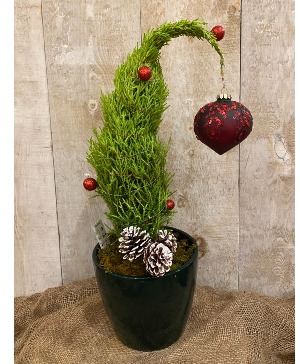 Large Grinch Tree 6" pot size