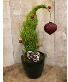 Large Grinch Tree 6" pot size