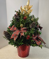 SOLD  Large Lighted Boxwood Tree -  NFS-C26