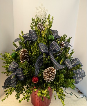 Large Lighted Boxwood Tree - NFS-C26 Boxwood Tree