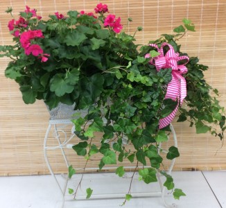 Large Metal Plant Stand
